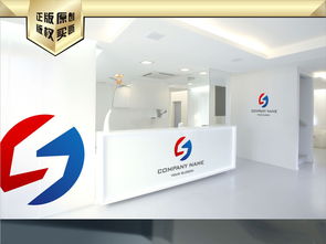 專業(yè)S字母商業(yè)服務(wù)標(biāo)志設(shè)計 藝術(shù)與實用的完美結(jié)合