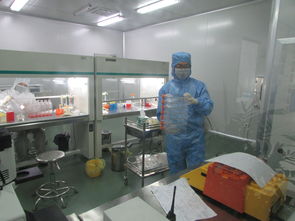 軟件技術服務的價格評估與供應商采購策略