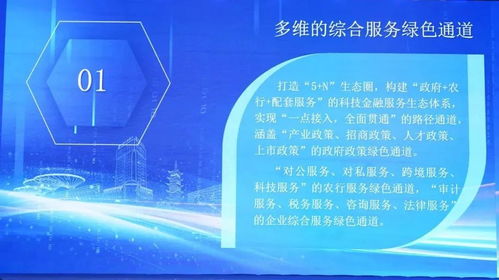 科技金融雙向賦能新篇章 信息技術咨詢服務在對接會上的核心價值